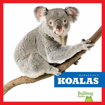 Koalas B0DCHKG3TD Book Cover