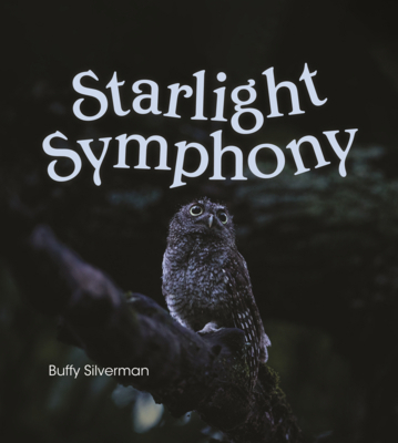 Starlight Symphony B0GN656HFC Book Cover