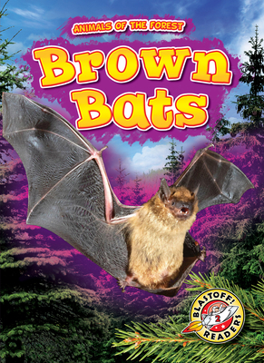 Brown Bats 1644875063 Book Cover