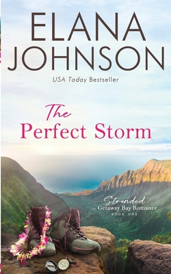 The Perfect Storm: A McLaughlin Sisters Novel 1638760985 Book Cover