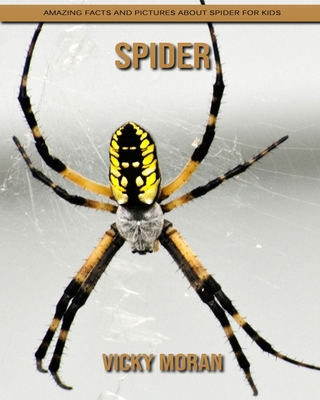 Paperback Spider: Amazing Facts and Pictures about Spider for Kids [Large Print] Book