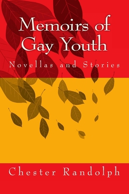 Memoirs of Gay Youth: Novellas and Stories 1500943886 Book Cover