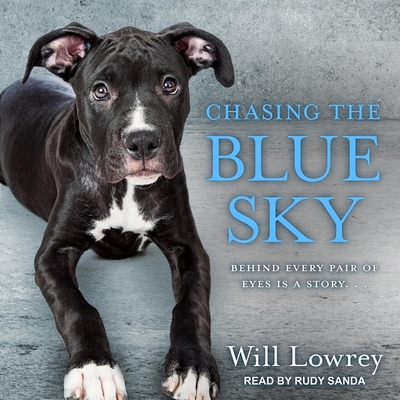 Chasing the Blue Sky B08Z8BT4WW Book Cover