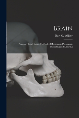 Brain: Anatomy [and] Brain: Methods of Removing... 1014620716 Book Cover