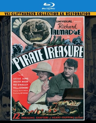 Pirate Treasure B092C8TMSG Book Cover