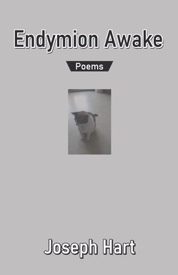 Endymion Awake 9390601738 Book Cover