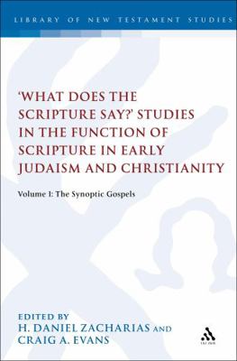 'What Does the Scripture Say?' Studies in the F... 0567383504 Book Cover