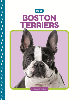 Boston Terriers B0GMZ69BVC Book Cover