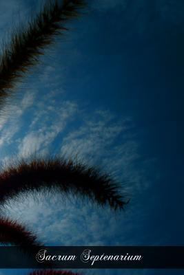 Sacrum Septenarium: The Seven Gifts Of The Holy... 1470001136 Book Cover