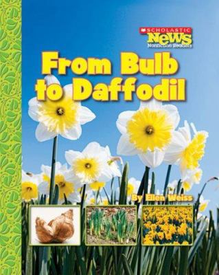 From Bulb to Daffodil 0531185346 Book Cover