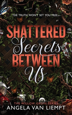 Shattered Secrets Between Us 1069470120 Book Cover