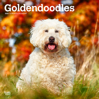 Goldendoodles 2025 12 X 24 Inch Monthly Square ... 1975477081 Book Cover