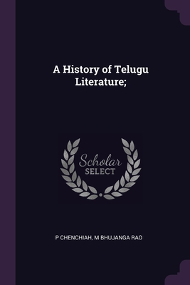 A History of Telugu Literature; 1378622901 Book Cover