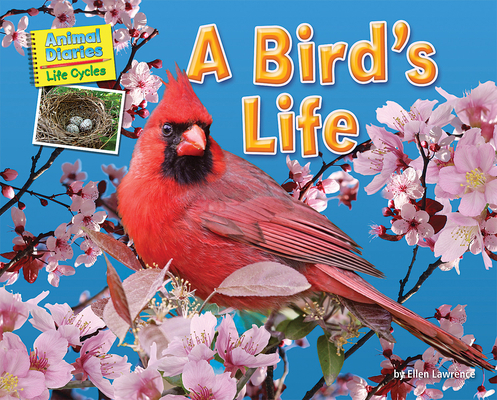 A Bird's Life 1642807311 Book Cover