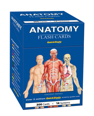 Anatomy Flash Cards: A Quickstudy Reference Tool 1423204239 Book Cover