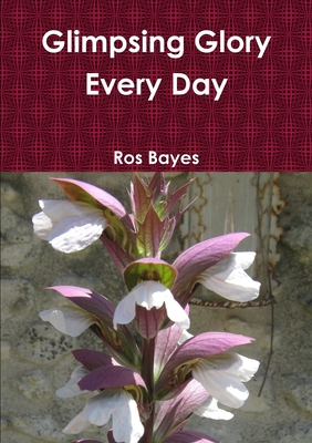 Glimpsing Glory Every Day 1326476130 Book Cover