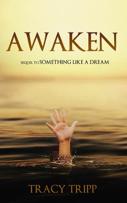 Awaken: Sequel to Something Like a Dream 173494093X Book Cover