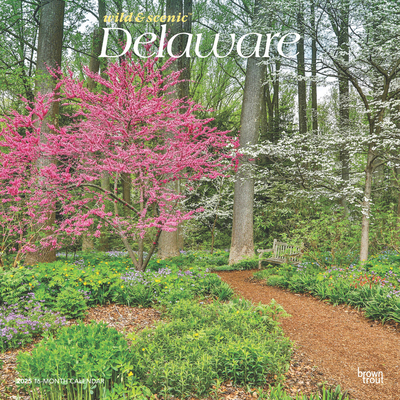 Delaware Wild & Scenic 2025 12 X 24 Inch Monthl... 1975474775 Book Cover