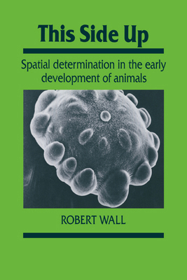 This Side Up: Spatial Determination in the Earl... 0521017262 Book Cover