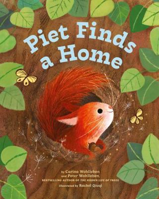 Piet Finds a Home 1778400299 Book Cover