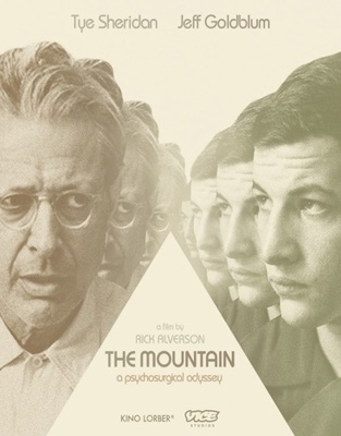 The Mountain            Book Cover