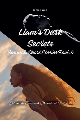 Liam's Dark Secrets B0DJRXQCV4 Book Cover
