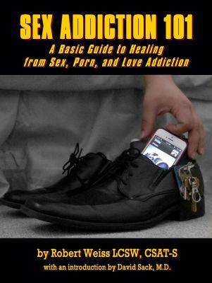 Sex Addiction 101: A Basic Guide to Healing fro... 1939927242 Book Cover