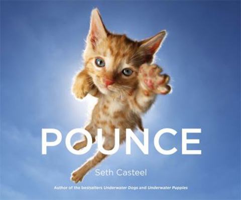 Pounce 0751566292 Book Cover