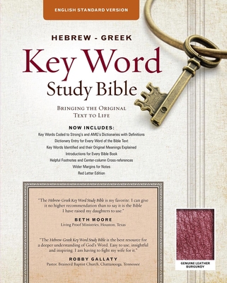 Hebrew-Greek Key Word Study Bible-ESV: Key Insi... 0899579175 Book Cover