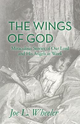 The Wings of God: Miraculous Stories of Our Lor... 1941555241 Book Cover