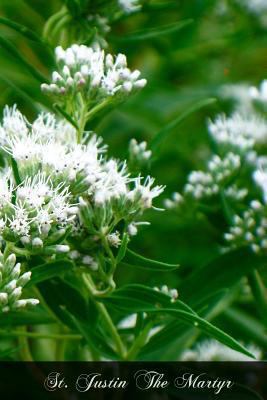 St. Justin The Martyr 147746381X Book Cover