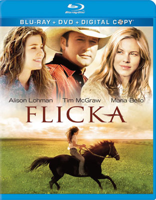 Flicka            Book Cover