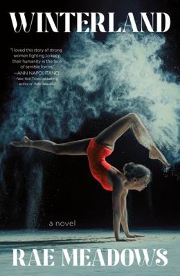 Winterland 1250834538 Book Cover