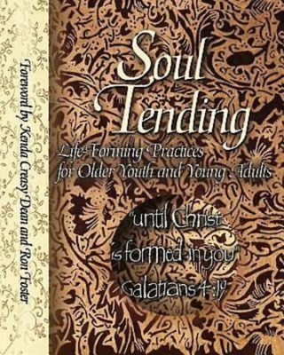 Soul Tending: Life Forming Practices for Older ... 068703079X Book Cover