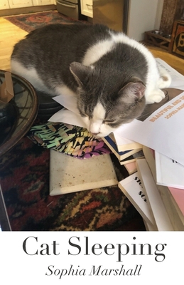Cat Sleeping B0BNTSY5TS Book Cover