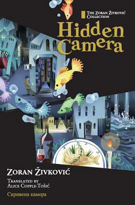 Hidden Camera 4908793379 Book Cover