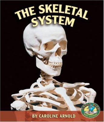 The Skeletal System 0822551403 Book Cover