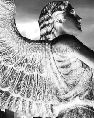 Celbration of life In memory Of Journal: Celbra... 046425342X Book Cover