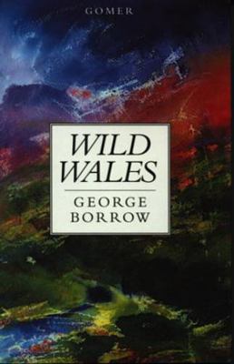 Wild Wales 1859022901 Book Cover