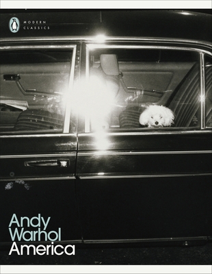 Andy Warhol America /anglais 0241586275 Book Cover