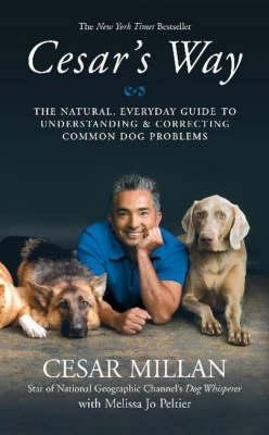 Cesar's Way: The Natural, Everyday Guide to Und... 0340933178 Book Cover
