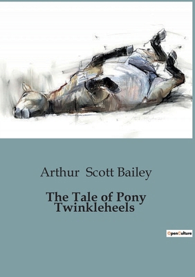 The Tale of Pony Twinkleheels B0CJT87CN8 Book Cover