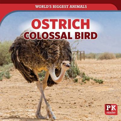 Ostrich: Colossal Bird 1642825395 Book Cover