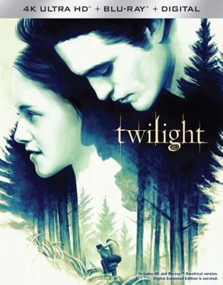 Twilight            Book Cover
