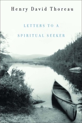 Letters To A Spiritual Seeker 0393059413 Book Cover
