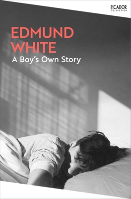 A Boy's Own Story 1035091305 Book Cover