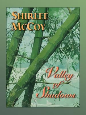 Valley of Shadows (The Lakeview Series #5) (Lov... [Large Print] 1410404439 Book Cover