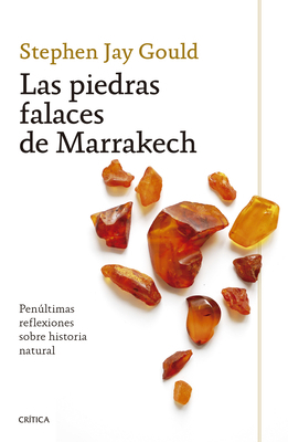 Las Piedras Falaces de Marrakech: Penúltimas Re... [Spanish] 6075697284 Book Cover