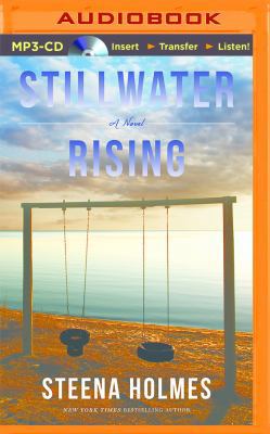Stillwater Rising 1491535091 Book Cover