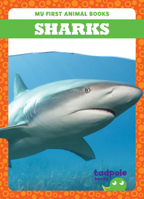 Sharks B0CJCNLWRW Book Cover